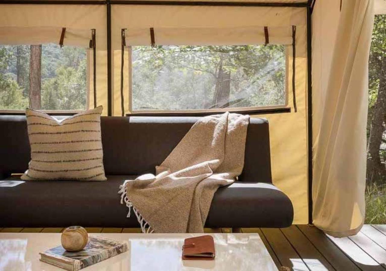 Autocamp Catskills Saugerties Εξωτερικό φωτογραφία